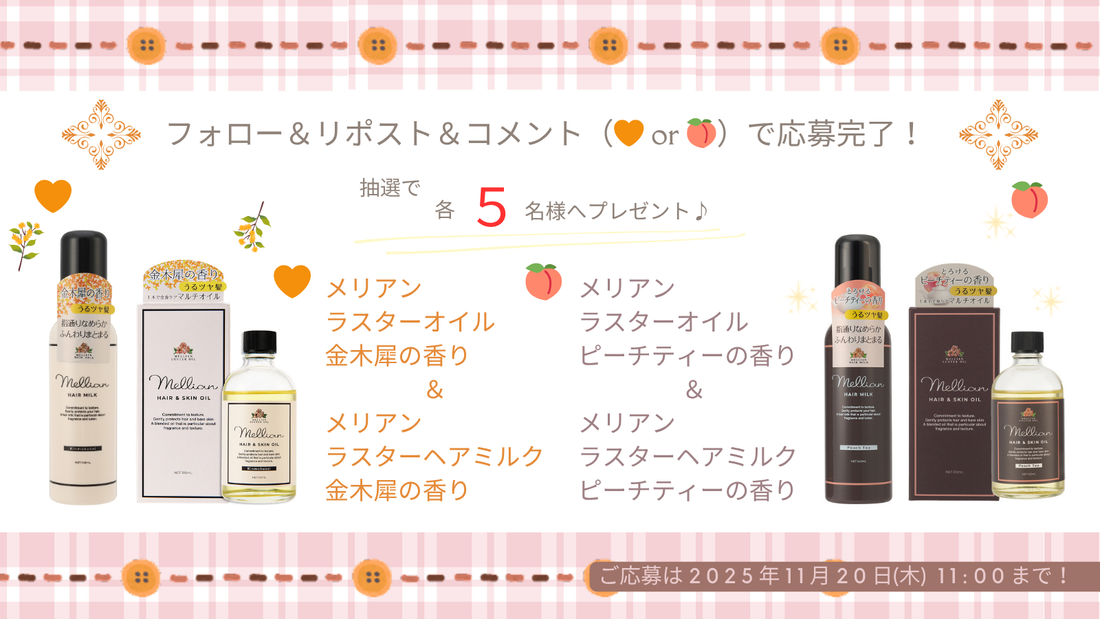 X（Twitter）プレゼントキャンペーン応募について（11/13 11:00 ～ 11/20 11:00）