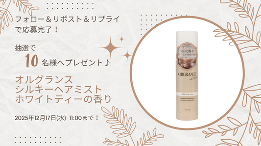 X（Twitter）プレゼントキャンペーン応募について（12/10 11:00 ～ 12/17 11:00）